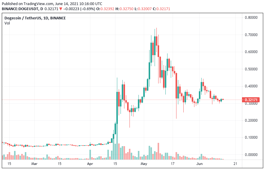 | Biz Builder Mike Dogecoin Coin 14 June
