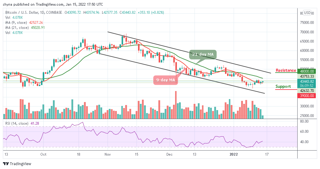 | Biz Builder Mike Bitcoin Price Prediction