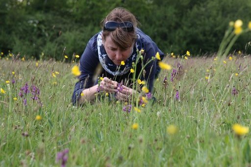 A woman examining flowers in a field